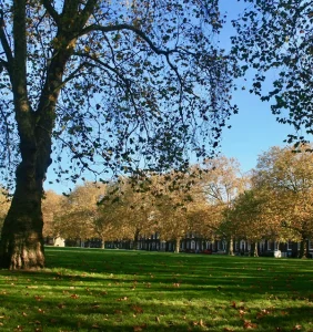 Highbury Fields